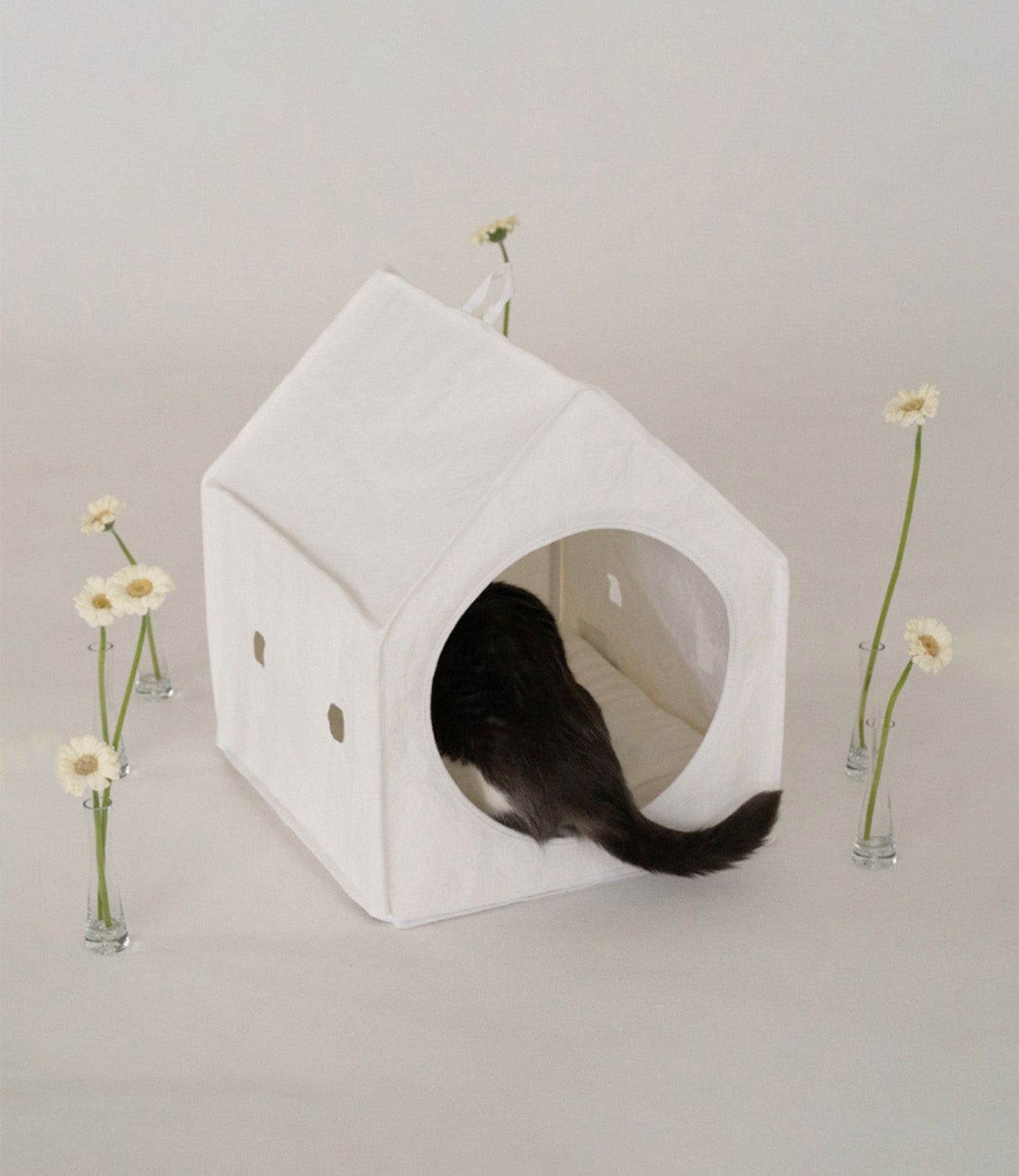4 Signs Your Cat Is Stressed (and Small Things That Help)
