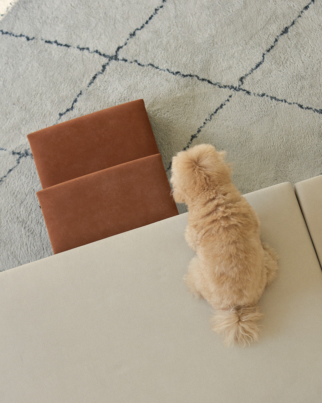 What Is Aquaclean® Fabric? Easy-Clean Technology for Pet Furniture