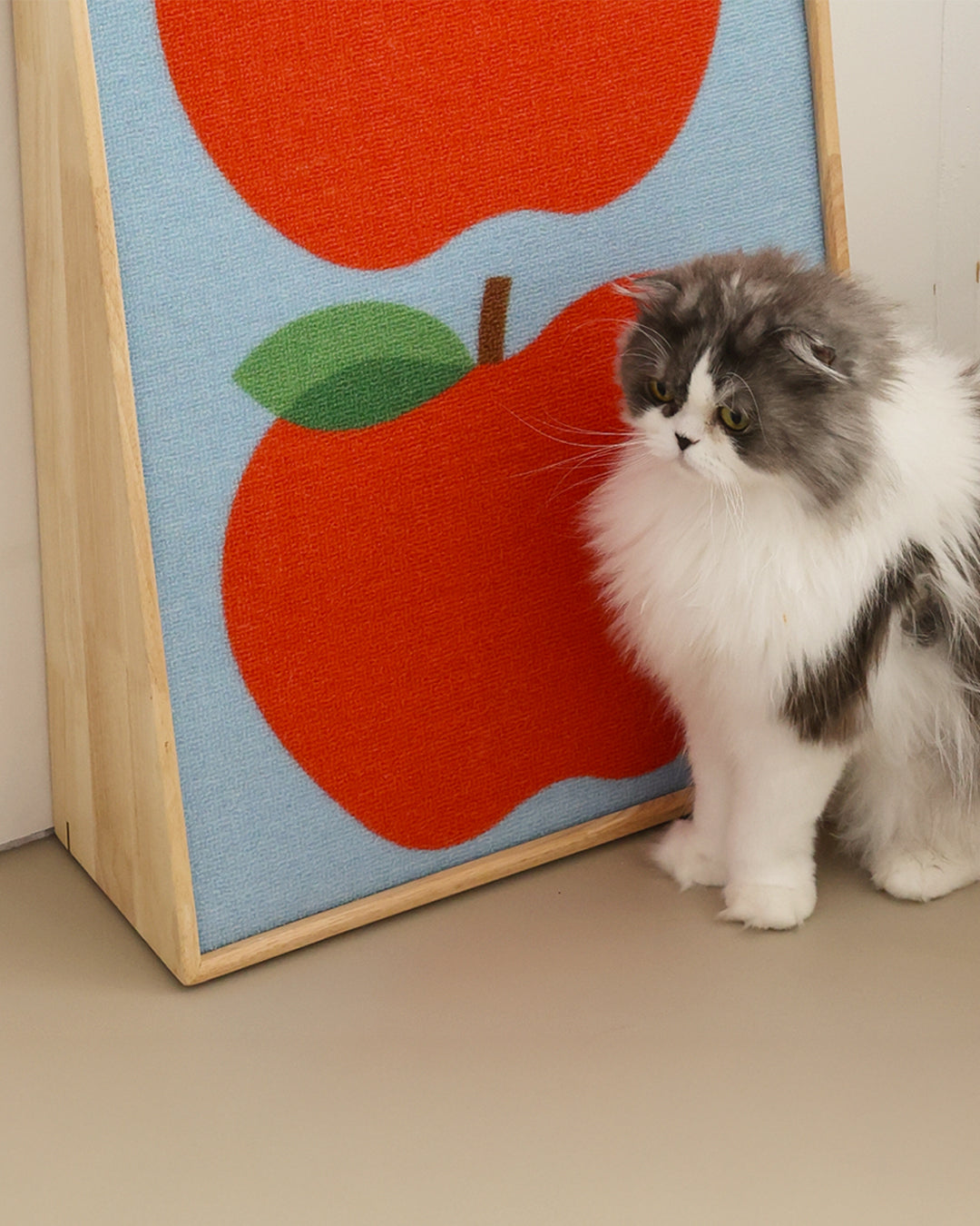 Modern Cat Scratchers: How to Choose One Your Cat Will Actually Use