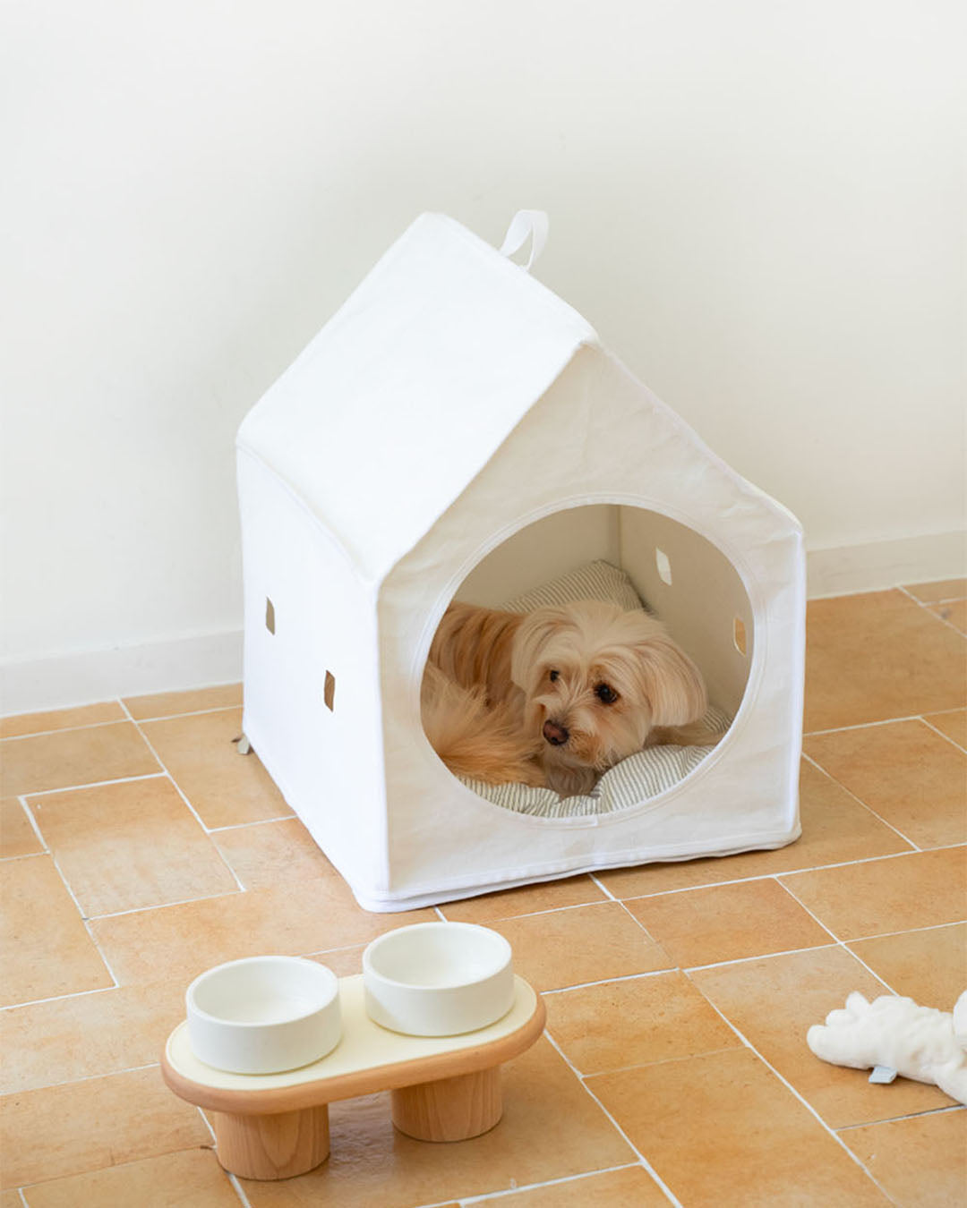 How to Build a Zen Zone for Your Energetic Dog