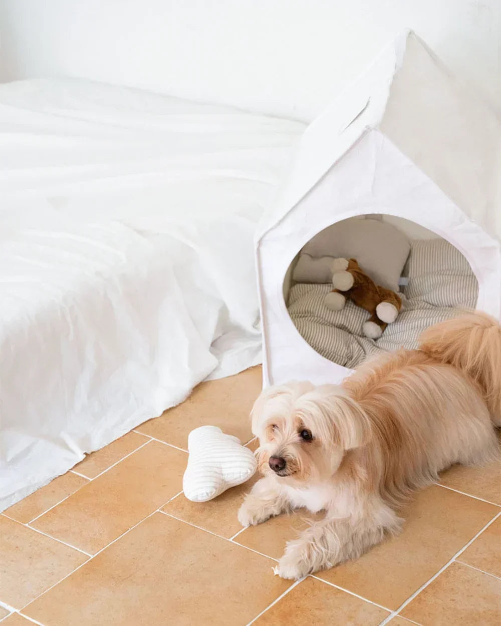 Everything You Need for a New Puppy's First Year