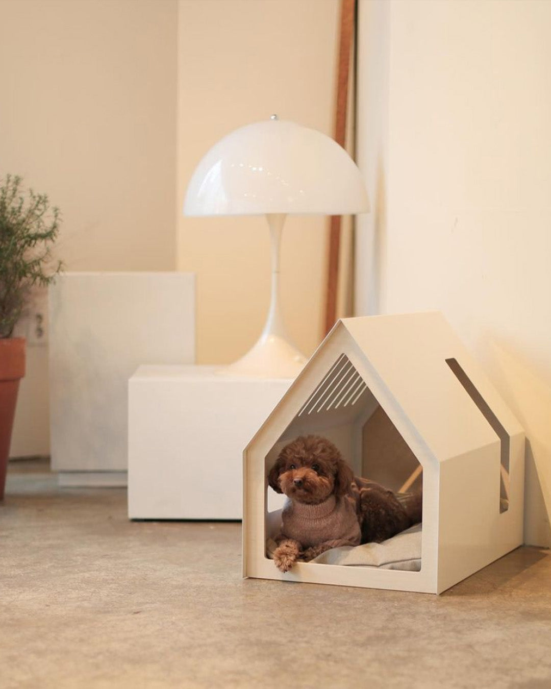 How to Encourage Healthy Resting Habits for Indoor Pets