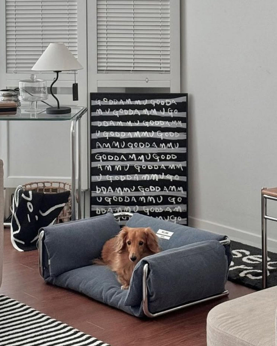 Dog Essentials
