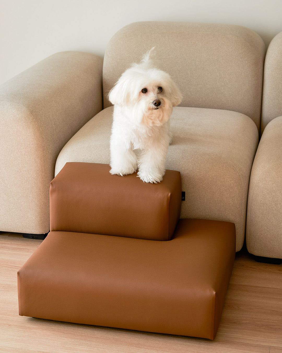 Pet Steps