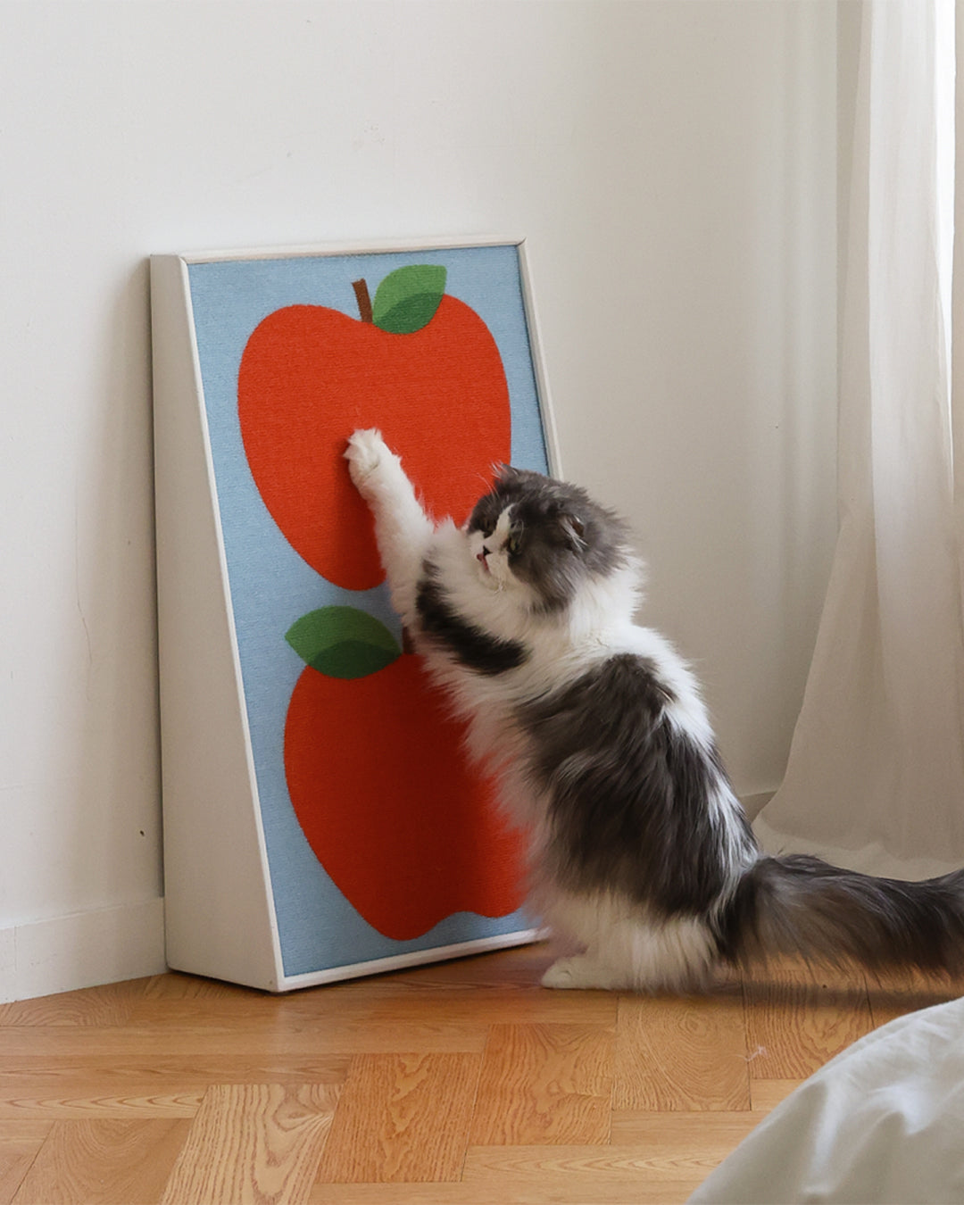 Art Poster Cat Scratcher Red Apples | Preorder