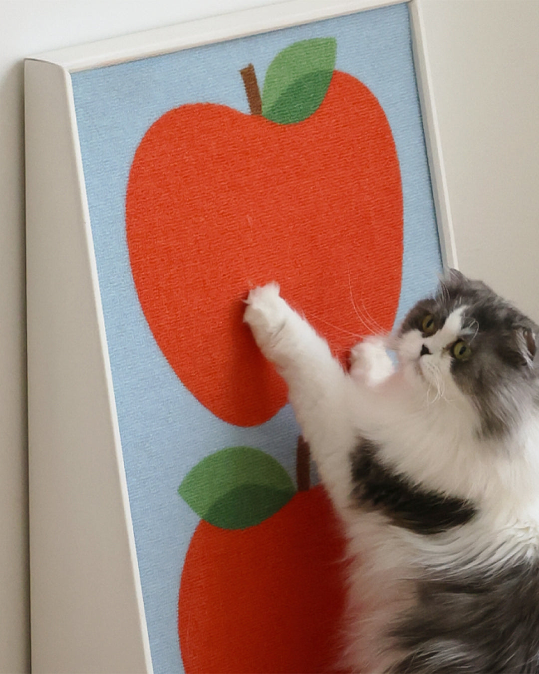 Art Poster Cat Scratcher Red Apples | Preorder