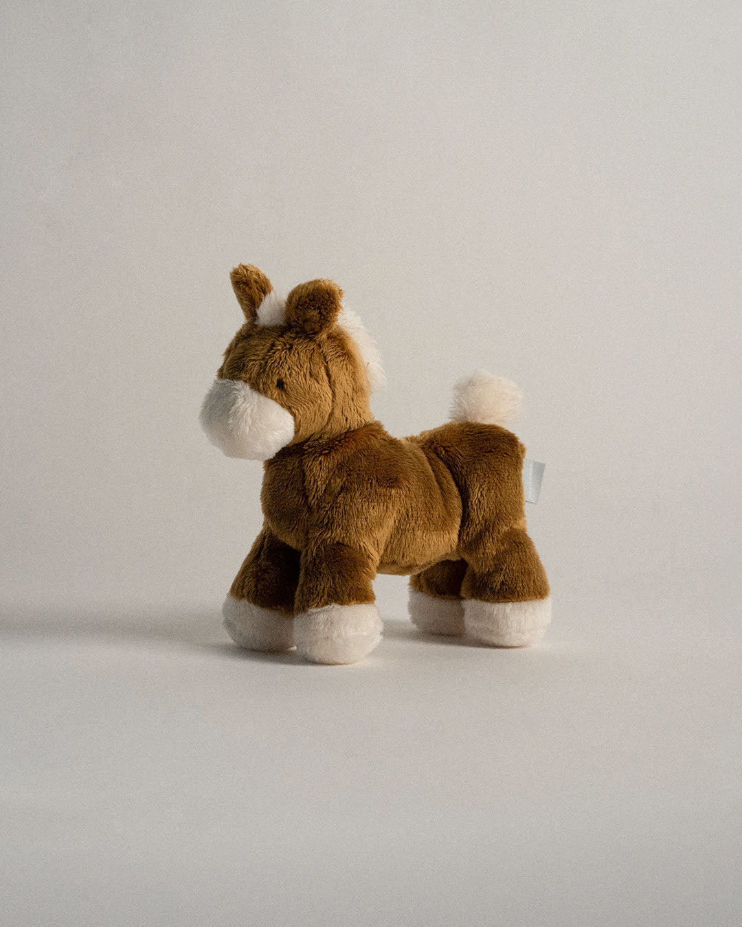 Buddy Pony