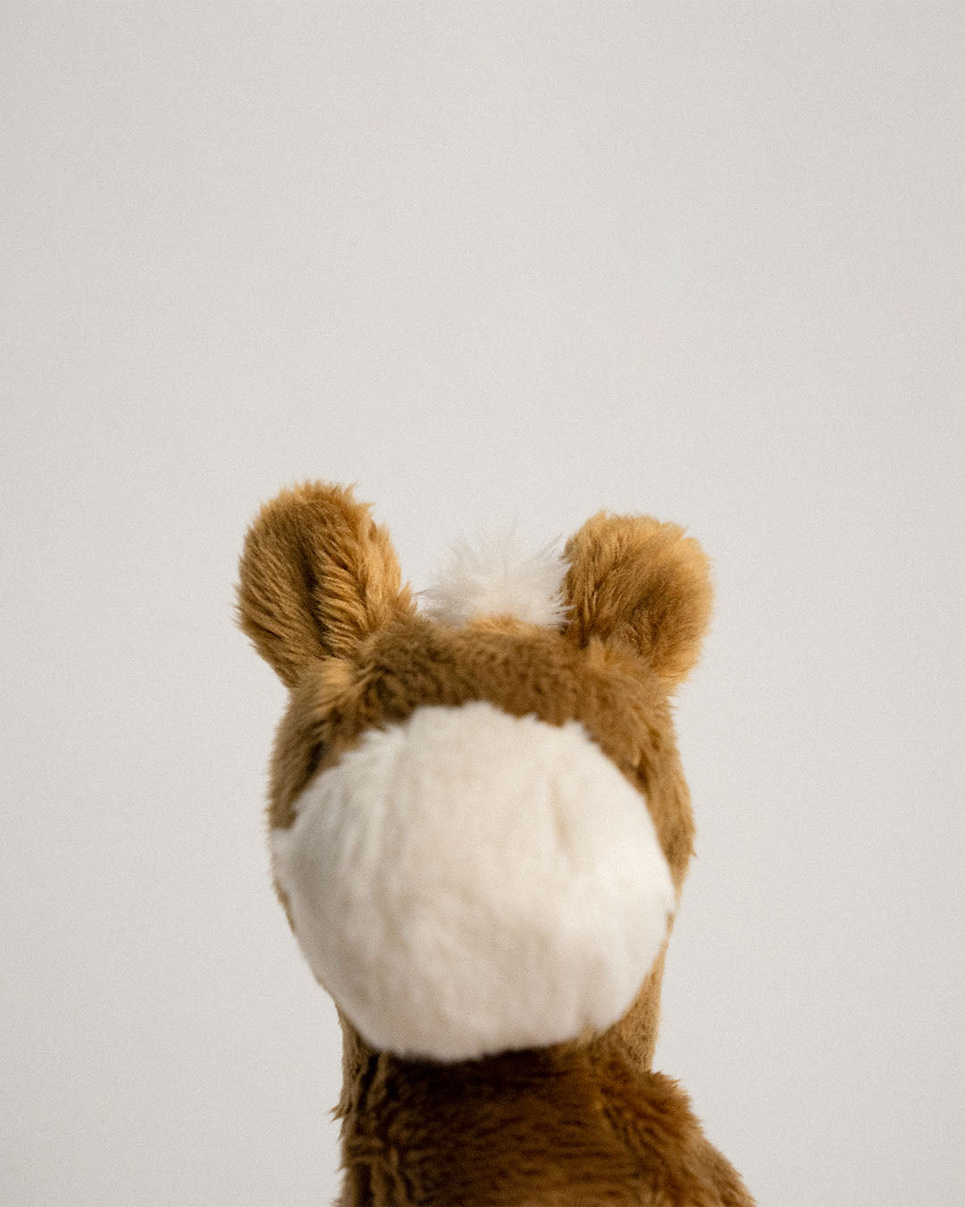 Buddy Pony