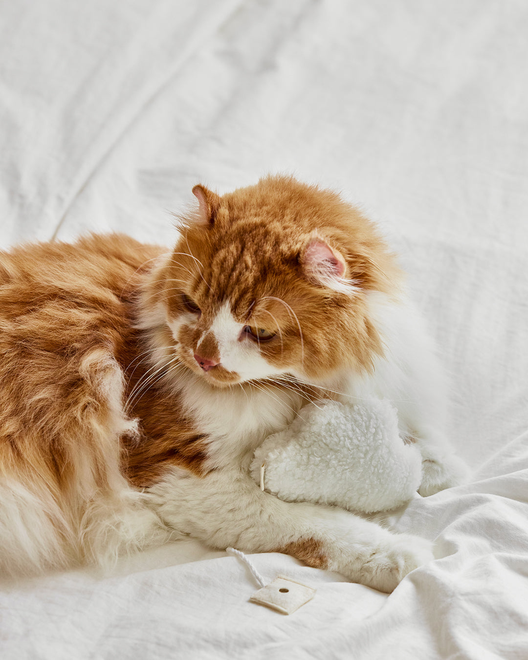 Magnetic Hanging Cat Toy | Preorder