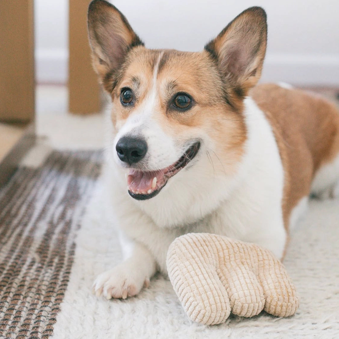 Em Plush Toy