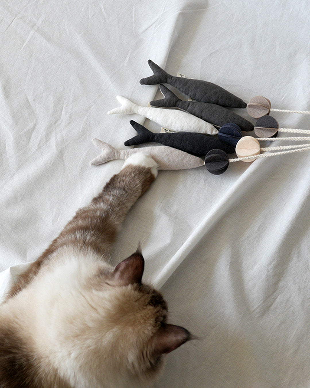 Fish and Chews