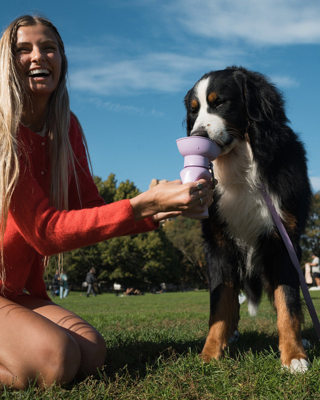 Person giving water to a dog using a leakproof travel dog water bottle with flip bowl, quick hydration for outdoor outings.