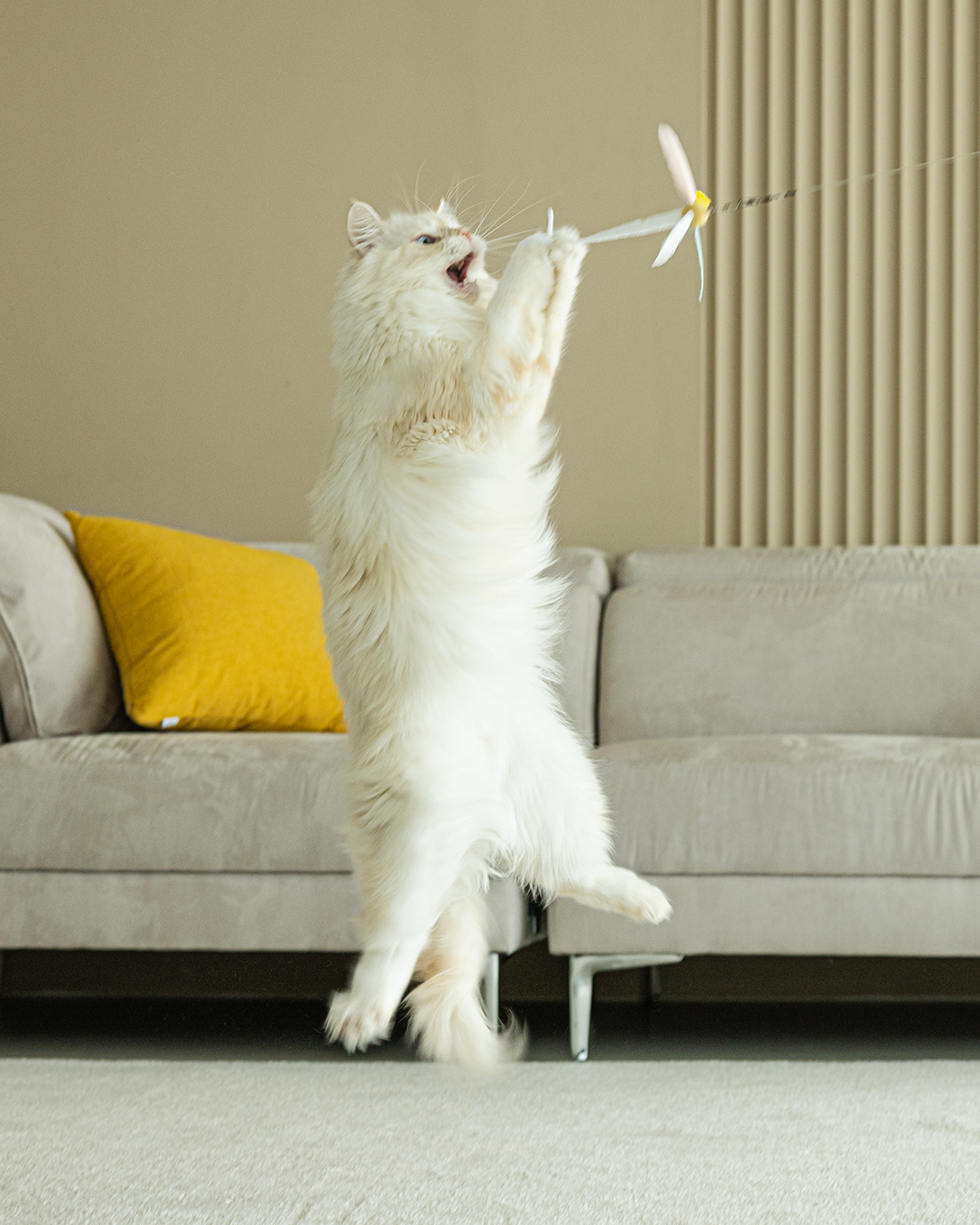 Twirl Cat Teaser Attachments (3 Pieces)
