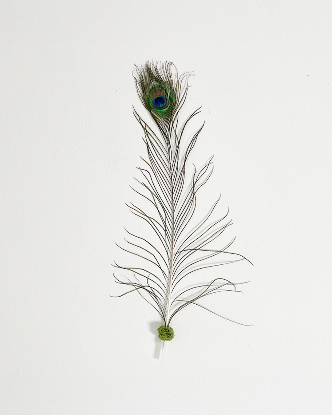 Natural Feather Cat Wand (3 Feathers)