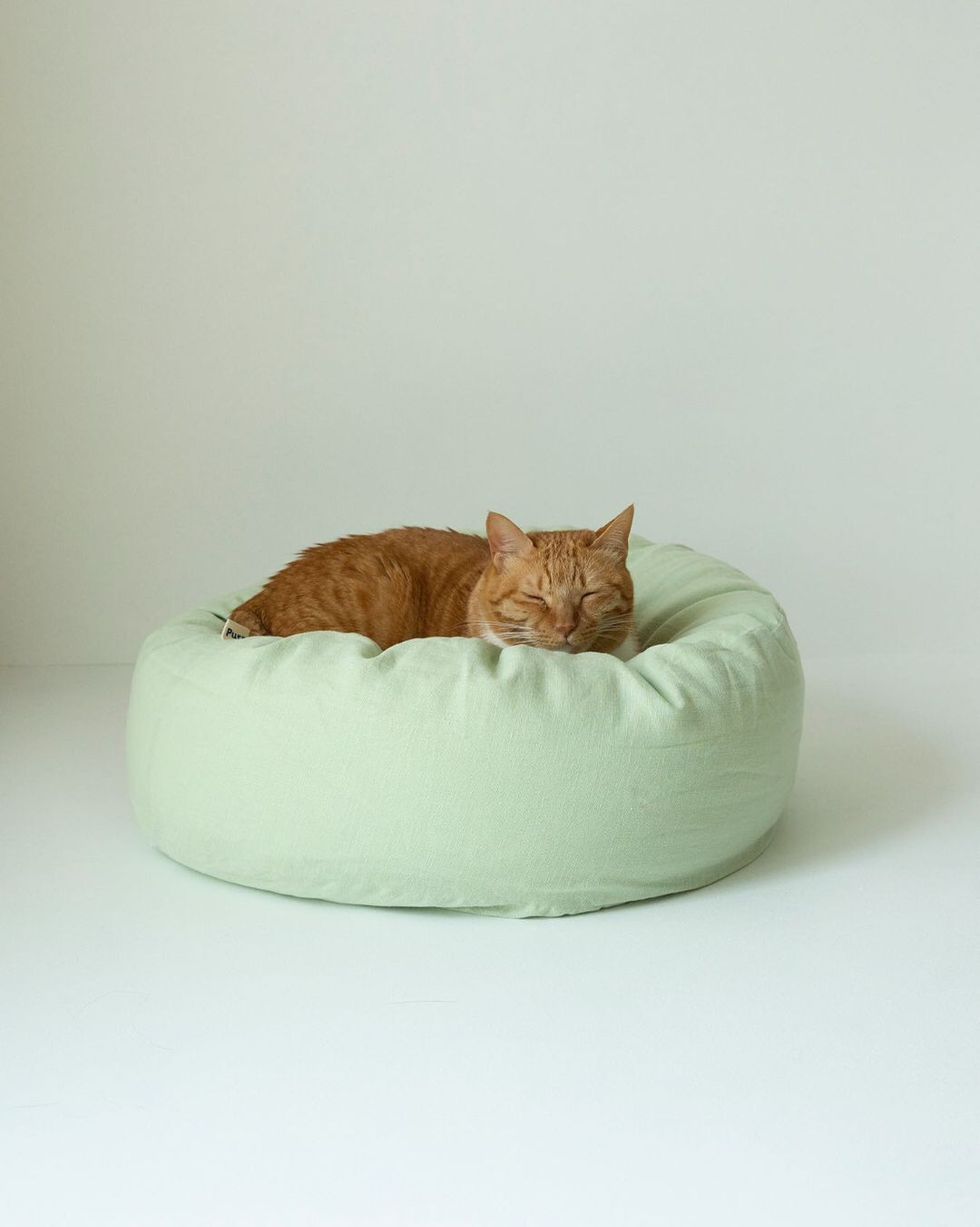 #Color_Linen Mint