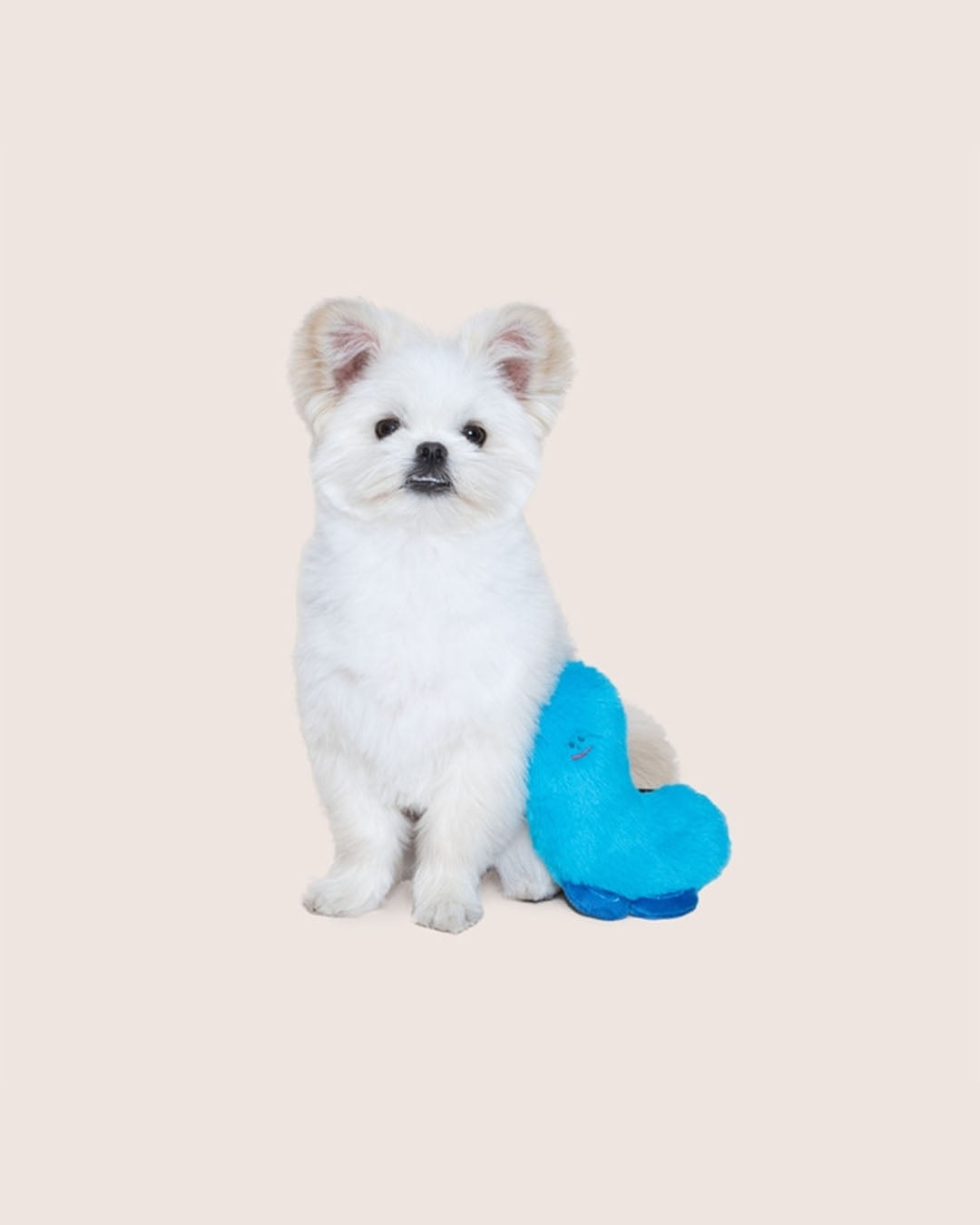 Squeaker Toy - Minty