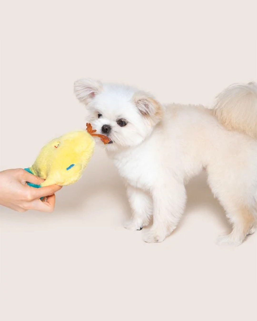 Squeaker Toy - Petrichor