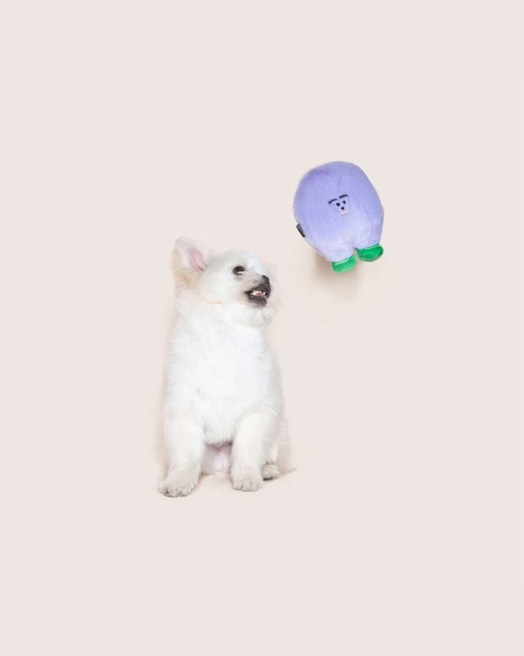 Squeaker Toy - Pong