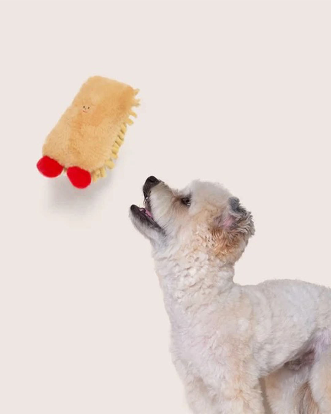 Squeaker Toy - Stinky