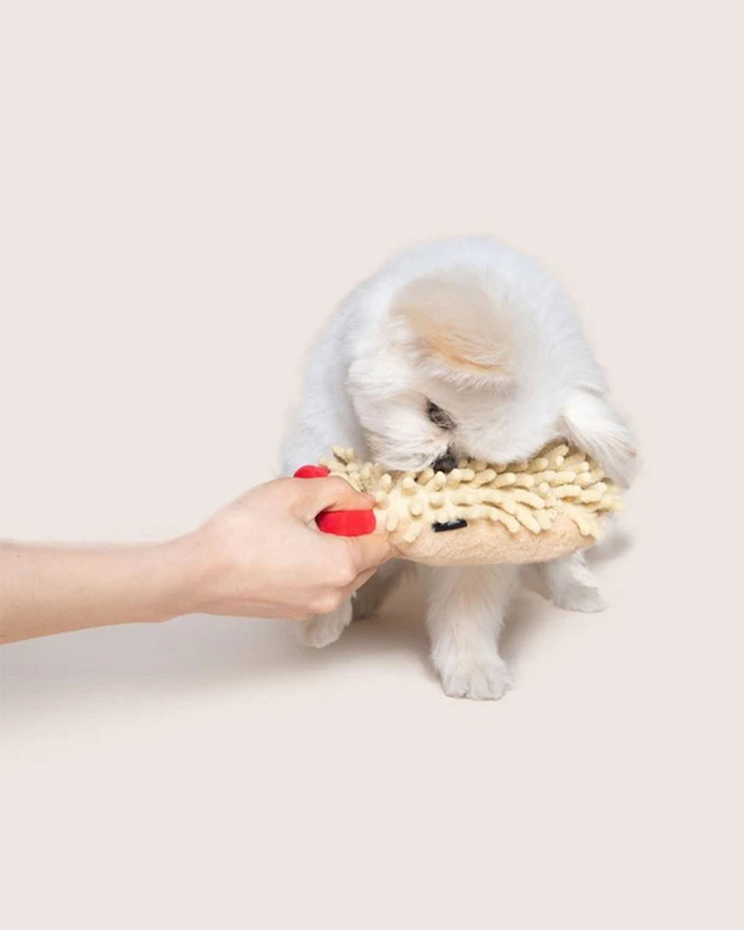 Squeaker Toy - Stinky