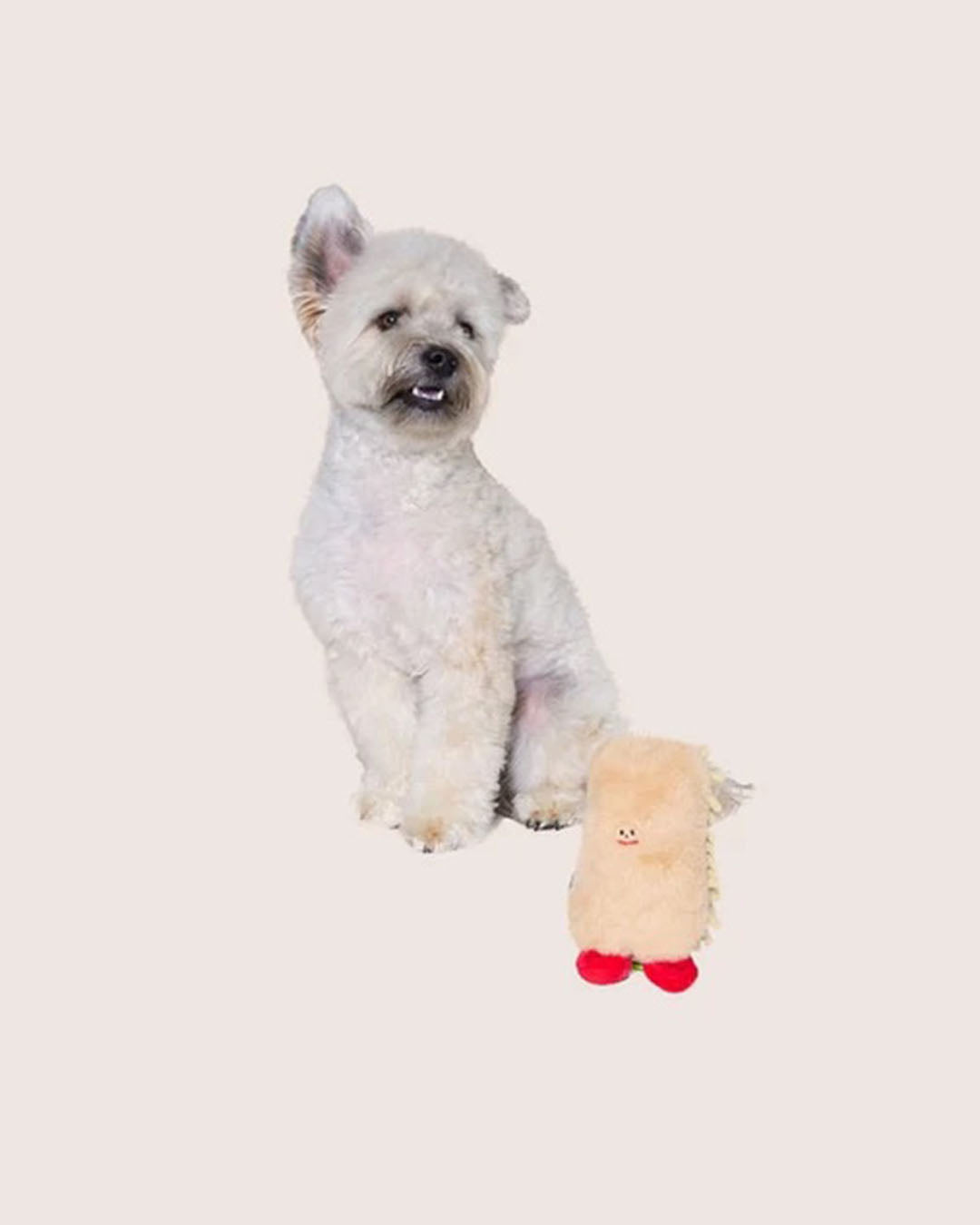 Squeaker Toy - Stinky