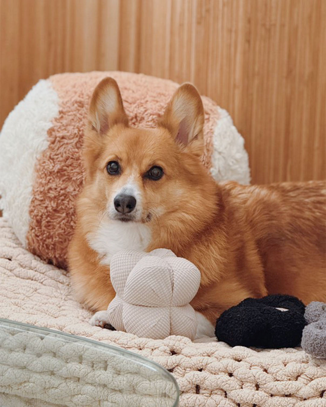 Orb Plush Toy with Squeakers