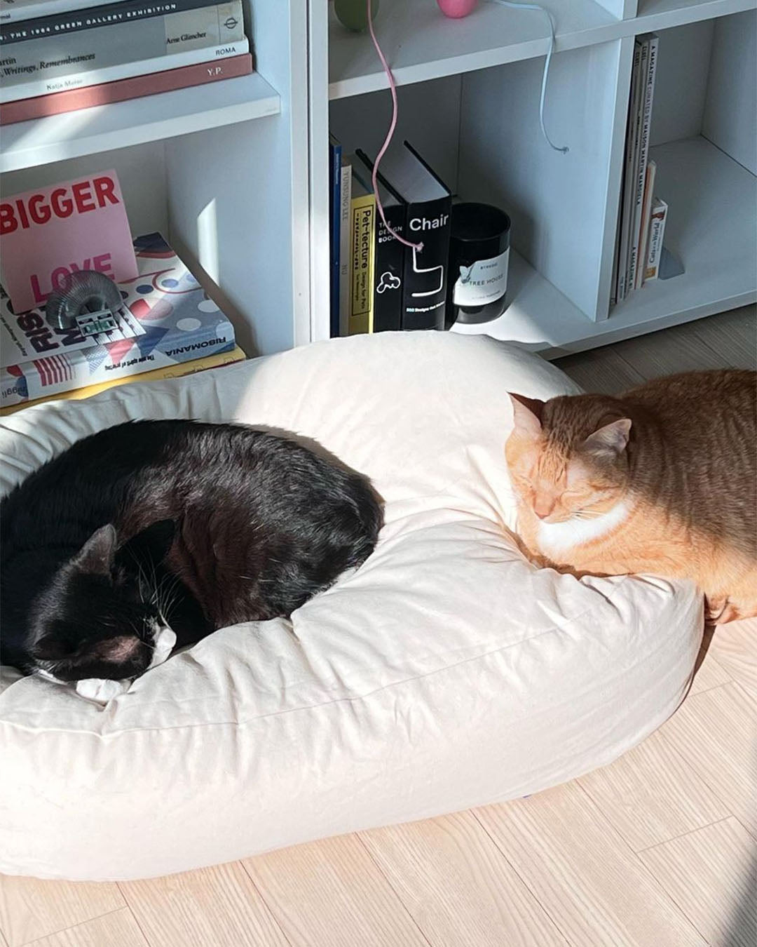 Pancho Pouf Double