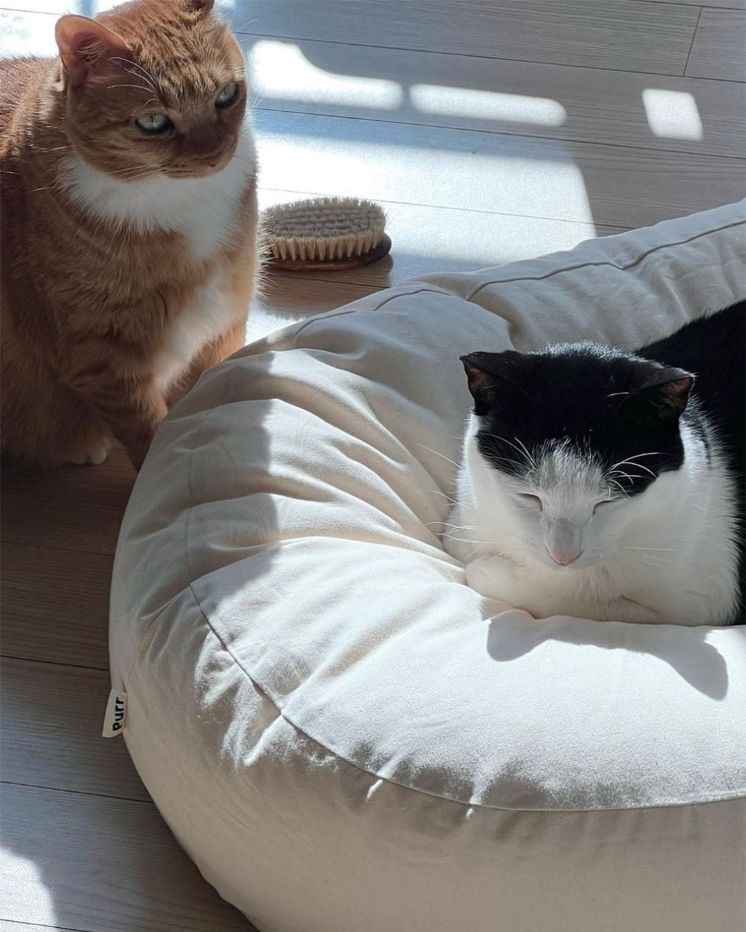 Pancho Pouf Double