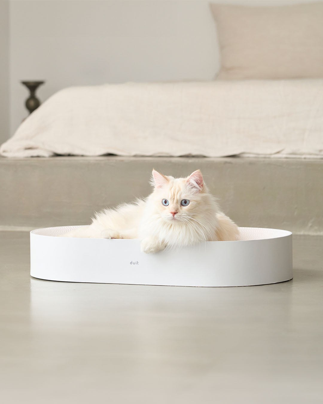 Eco-Friendly Oval Cat Scratcher Lounge & Bed | Design for Pets