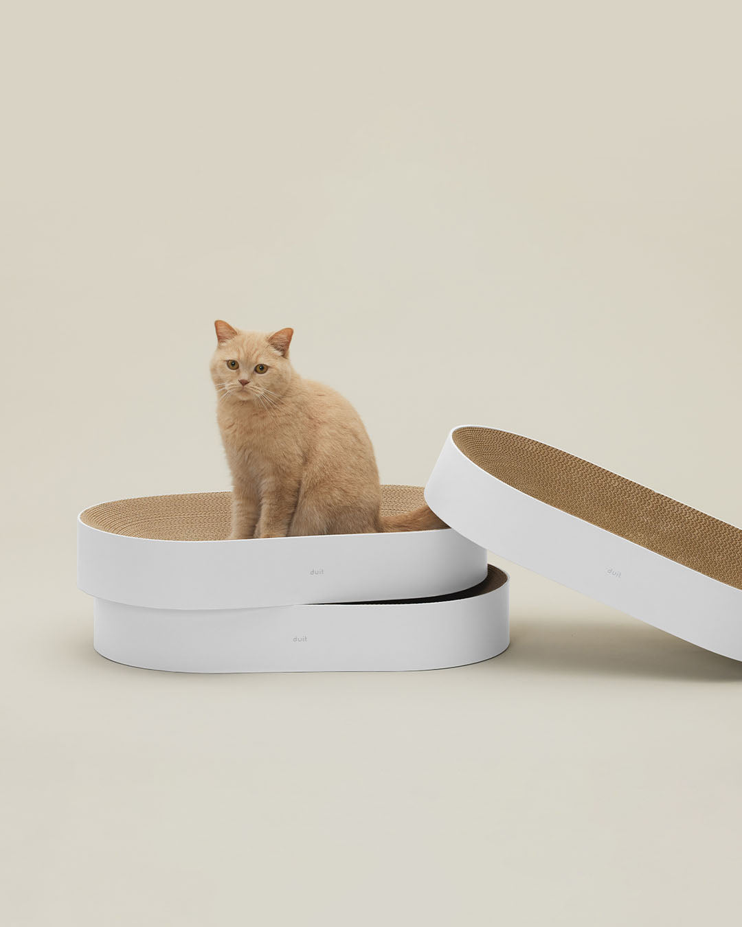 Catlog_Board2 ホワイト Eco-Friendly Oval Cat Scratcher Lounge & Bed | Design for Pets