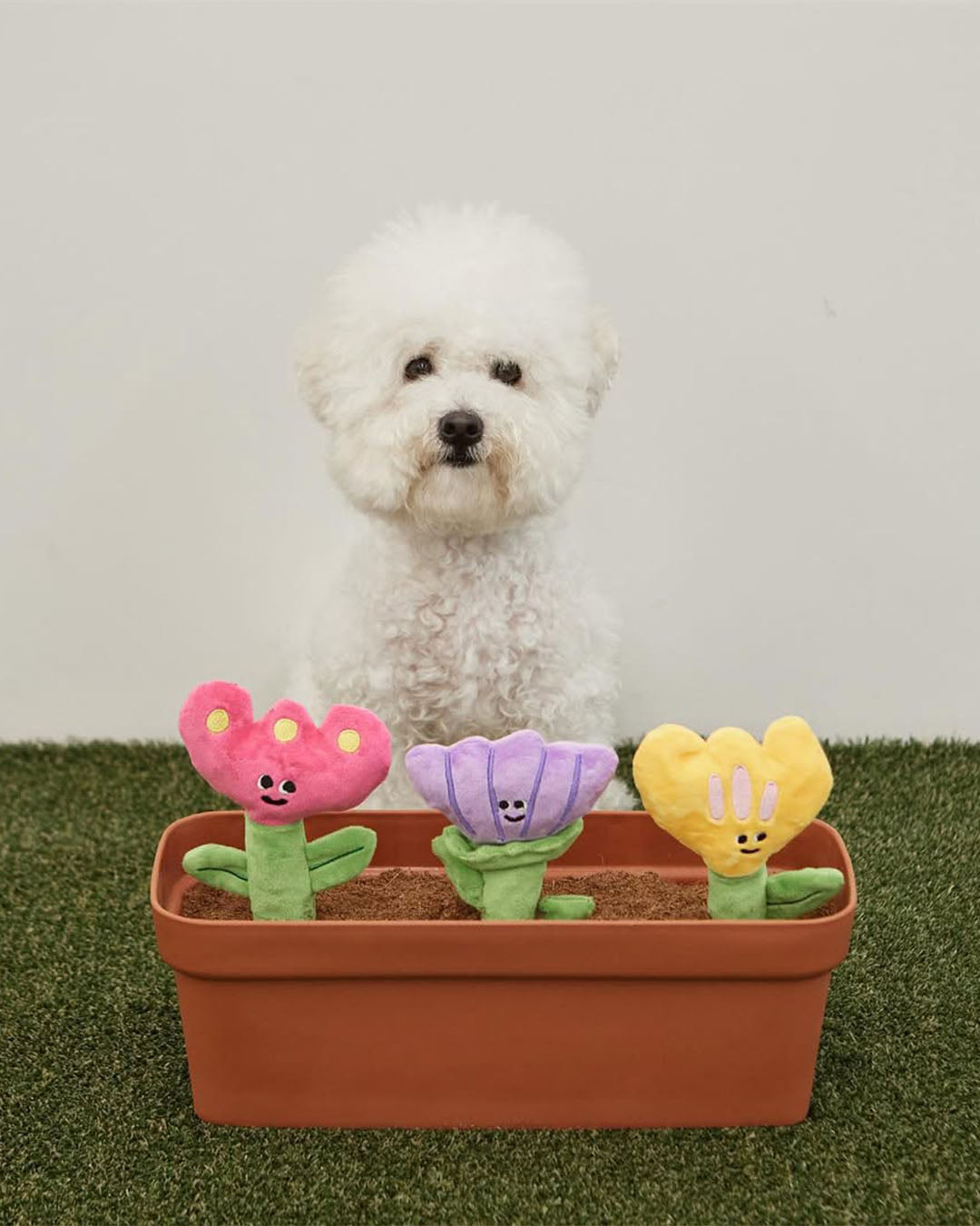 Crinkle Squeaker Toy - Anemone