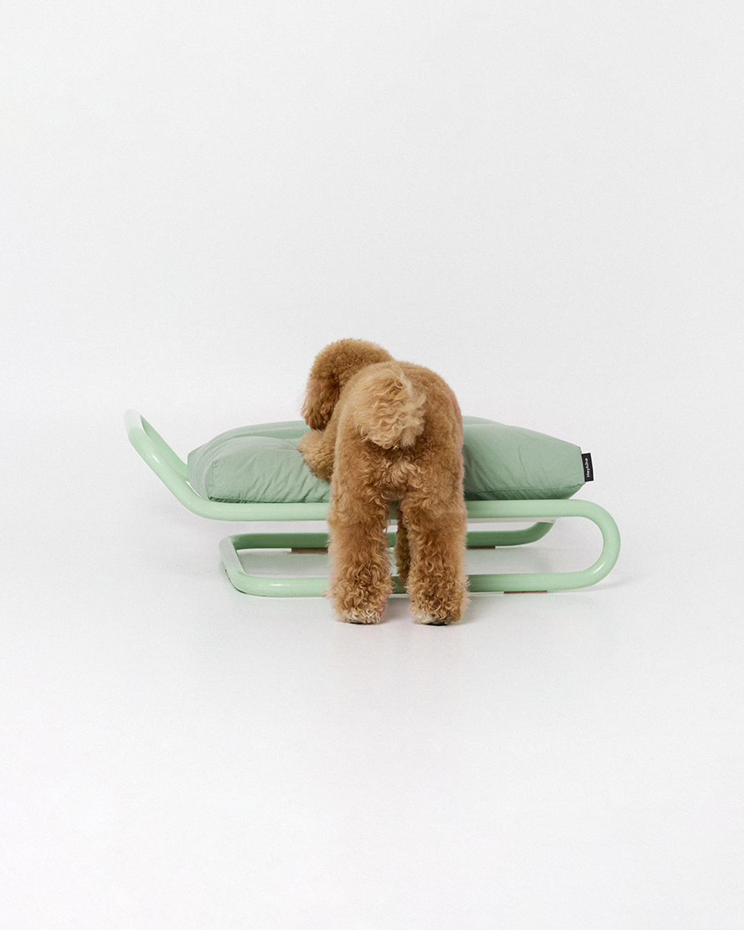 Beddy Bed Milk Green | Preorder
