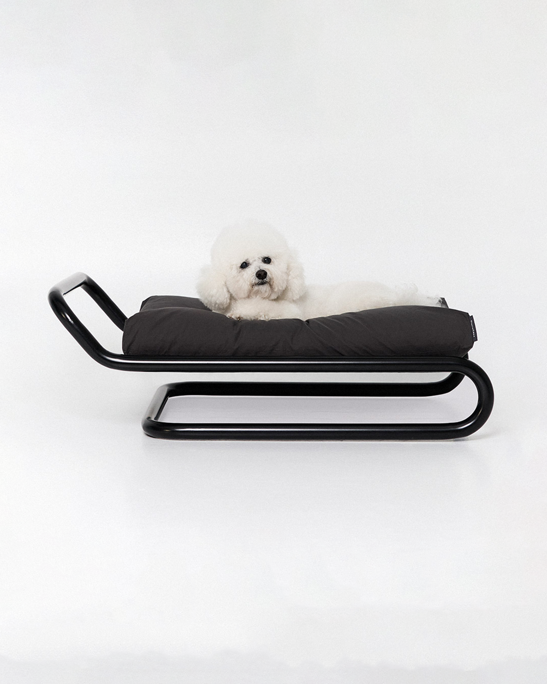 Beddy Bed Black | Preorder