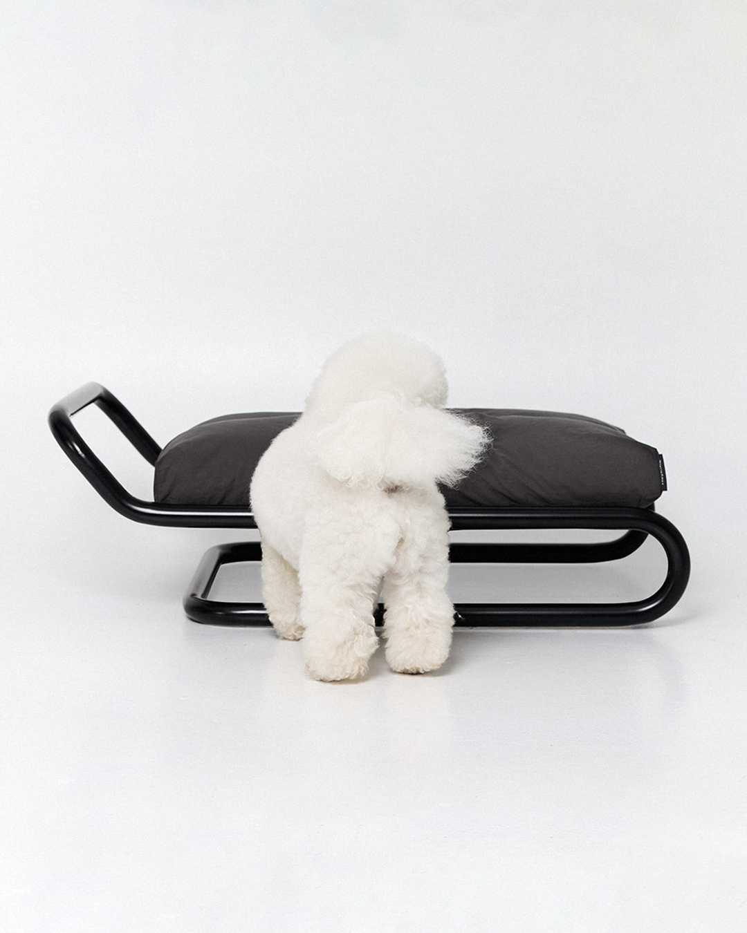 Beddy Bed Black | Preorder
