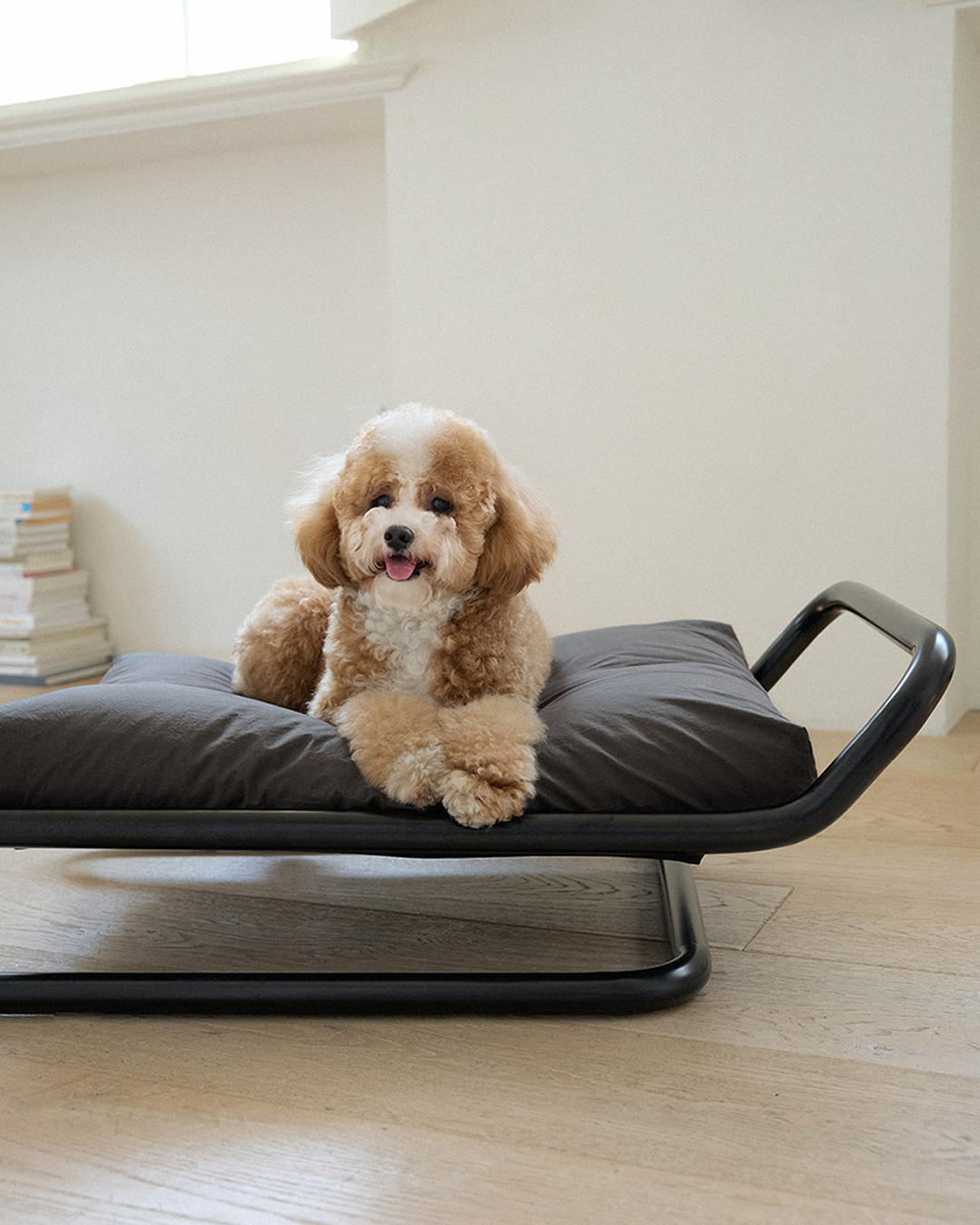 Beddy Bed Black | Preorder