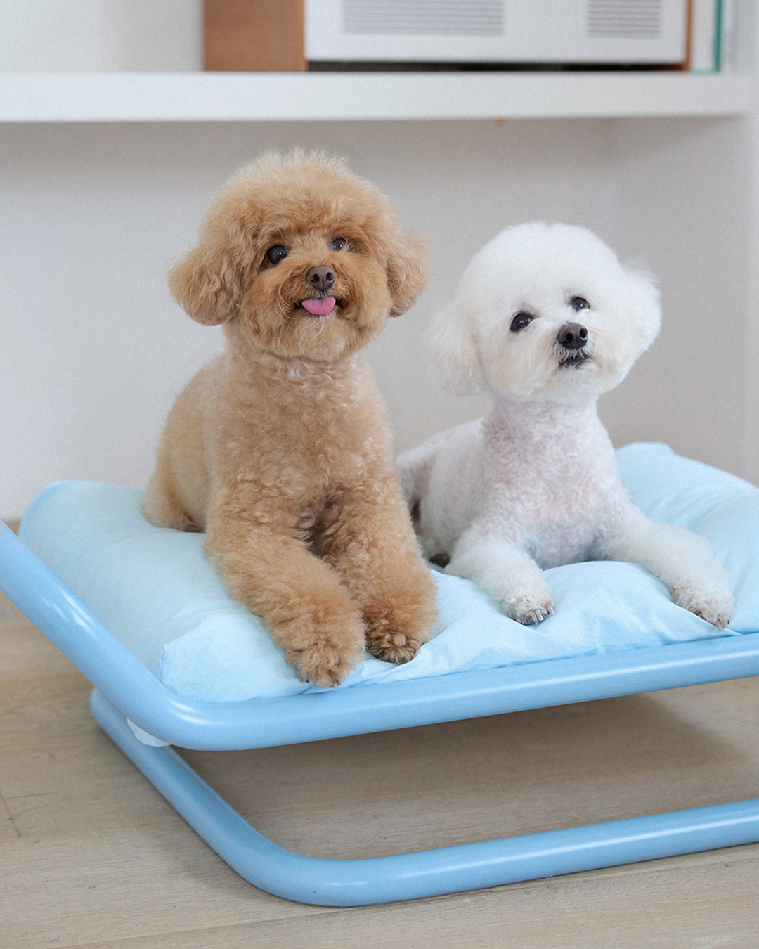 Beddy Bed Light Blue | Preorder