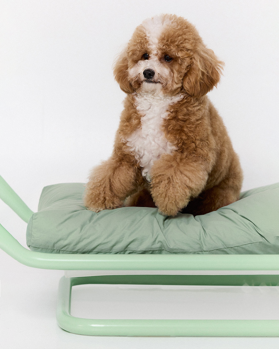 Beddy Bed Milk Green | Preorder