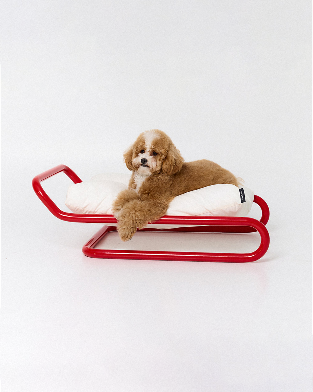 Beddy Bed Red | Preorder