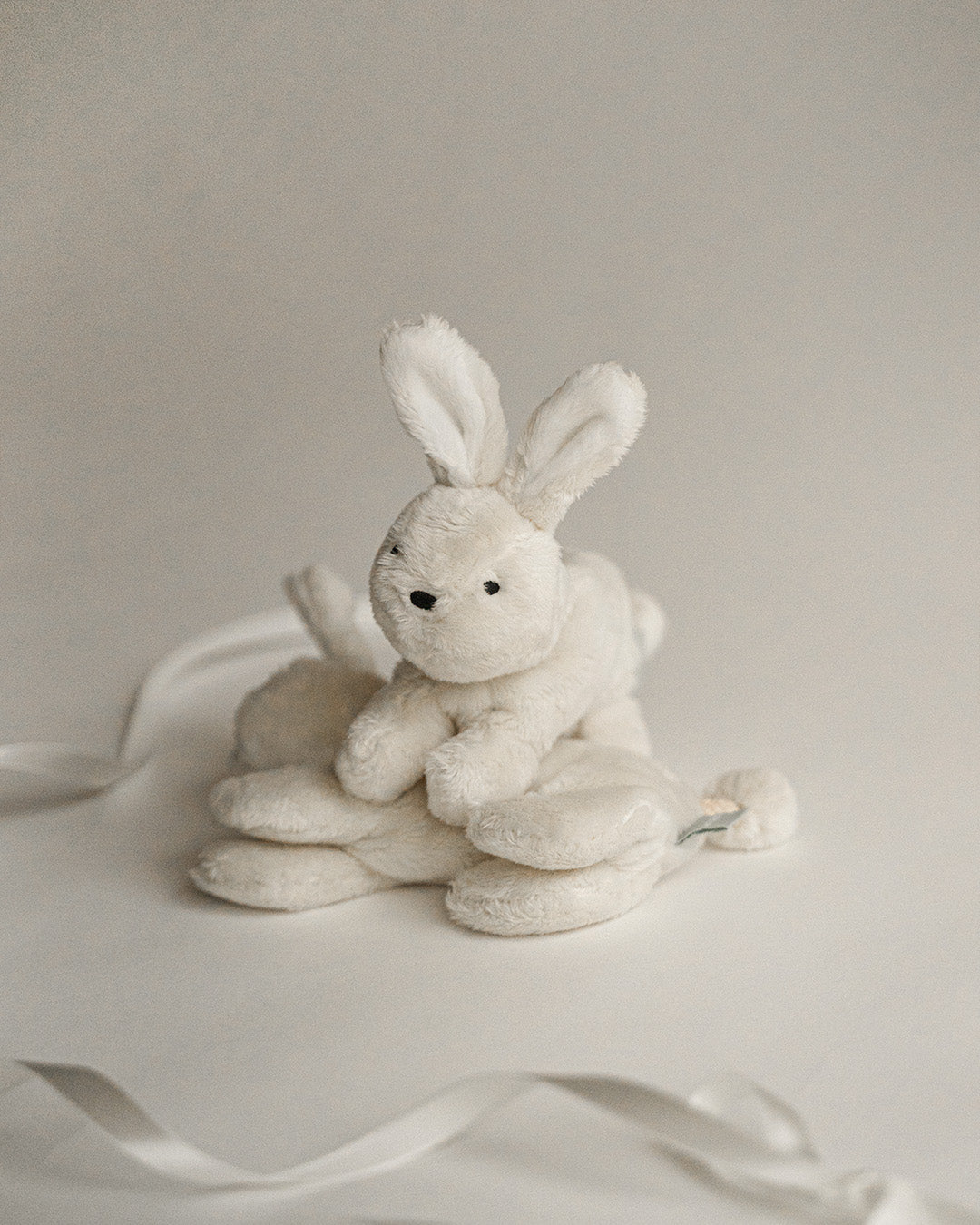 Buddy Bunny