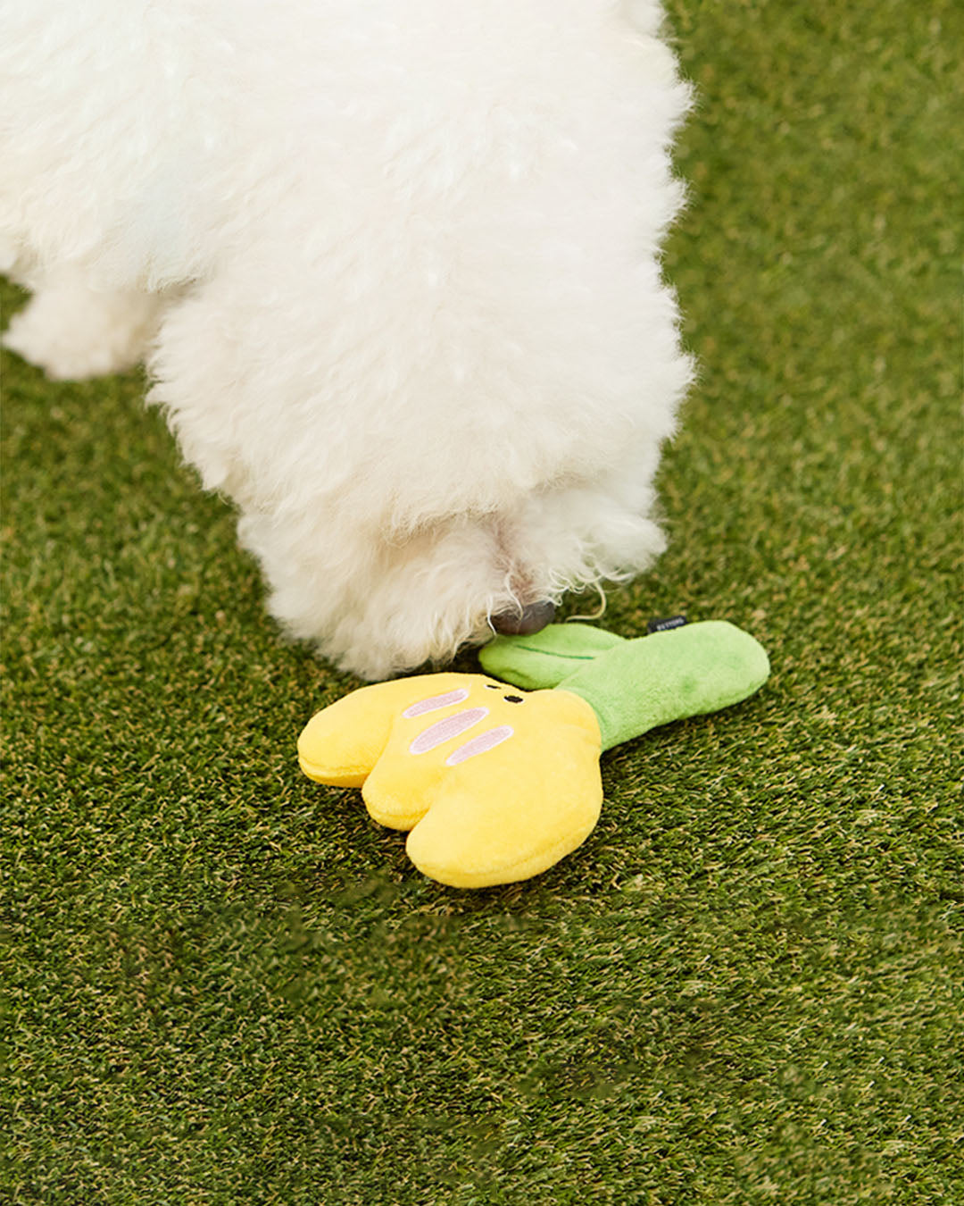 Crinkle Squeaker Toy - Buttercup