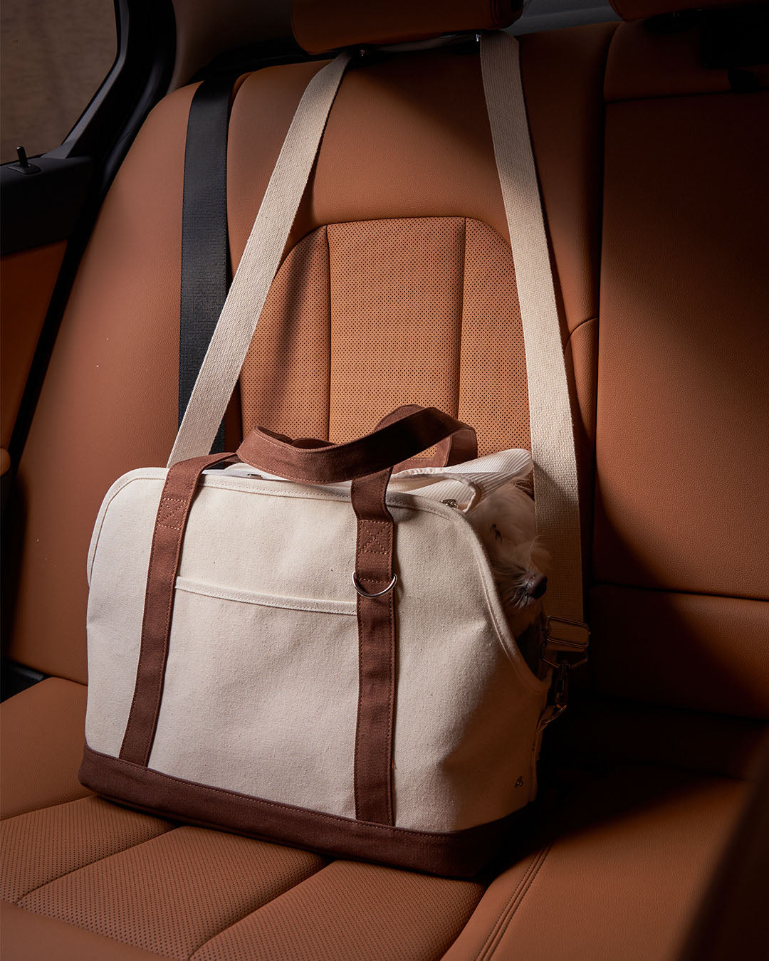 Canvas Carry Bag Brown