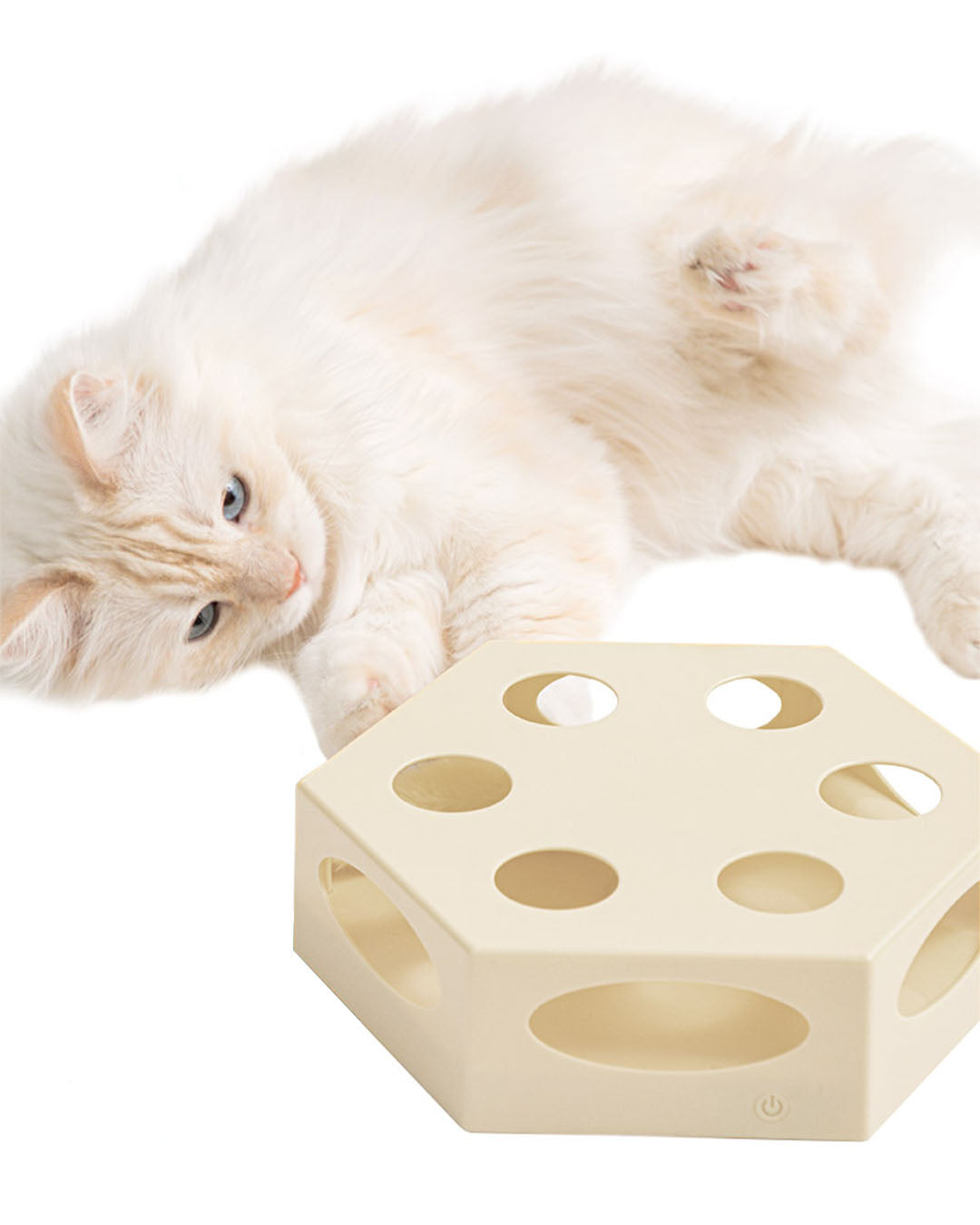 Cat's Cake Automatic Toy