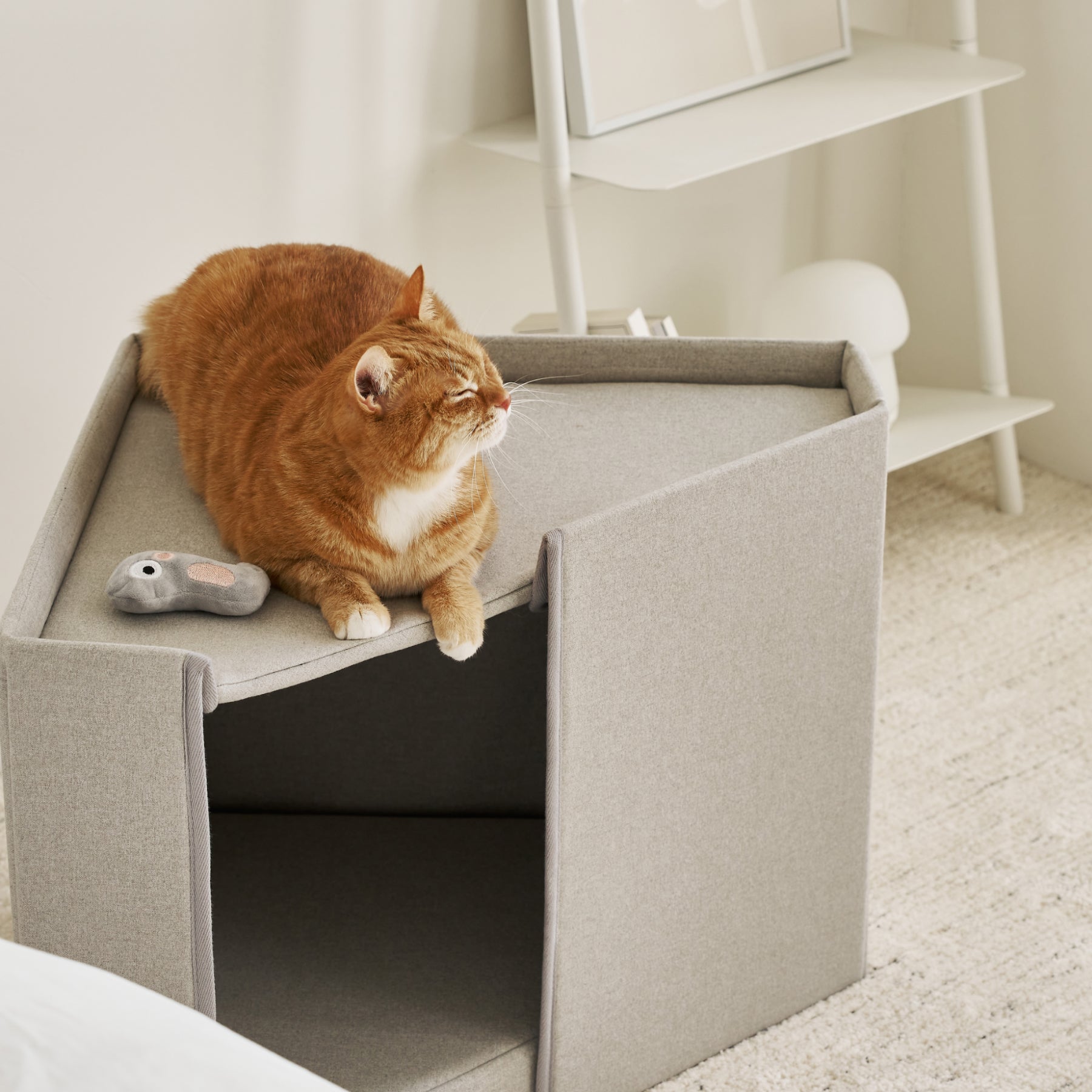 A cat relaxing on top of the Corner House.