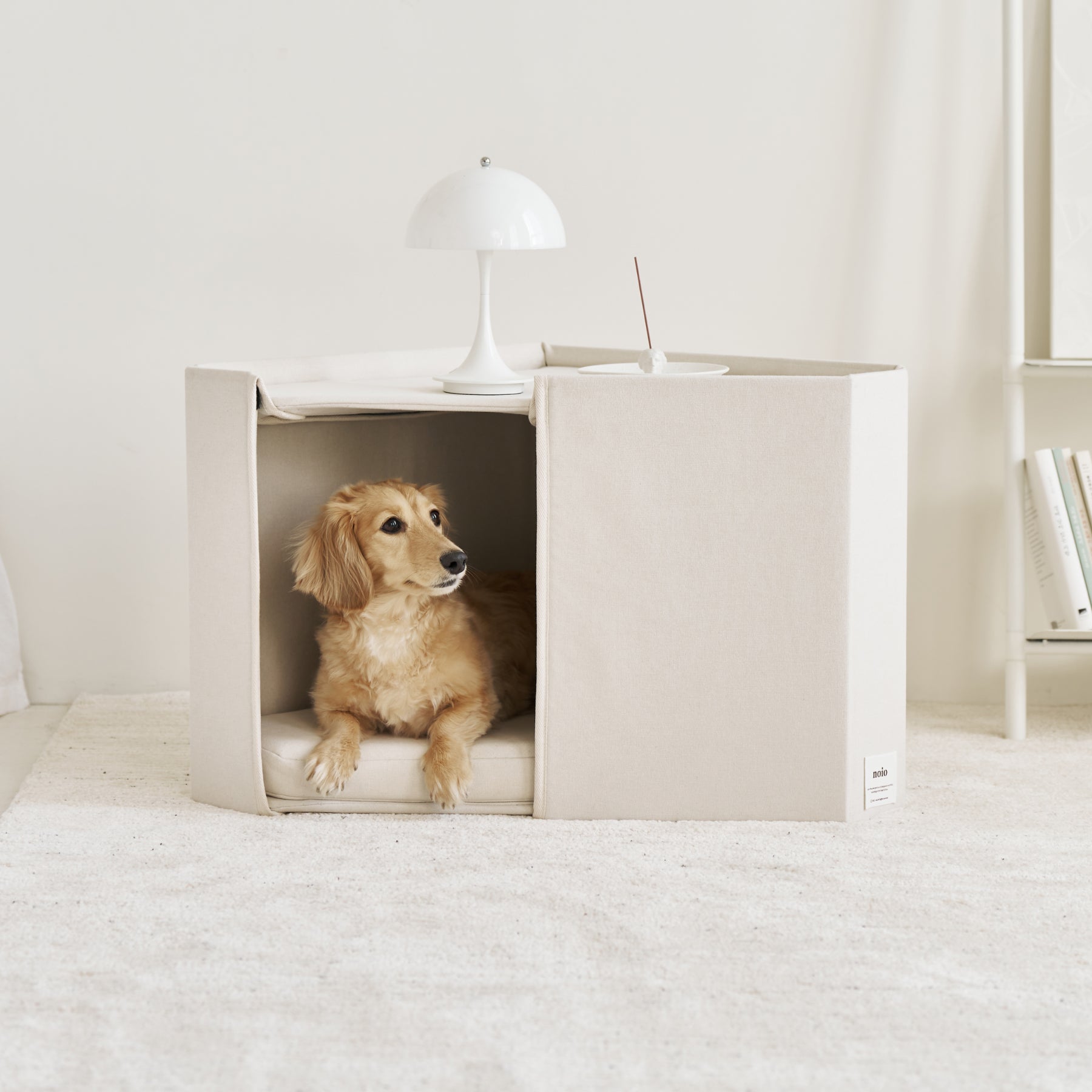 A relaxed dog inside the Corner House in a room with a modern interior.