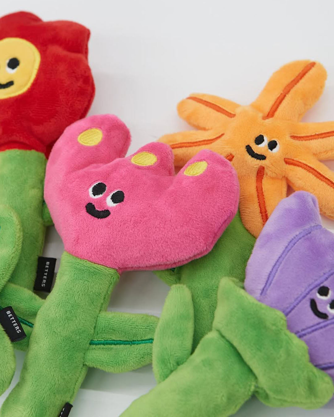 Crinkle Squeaker Toy - Cosmos