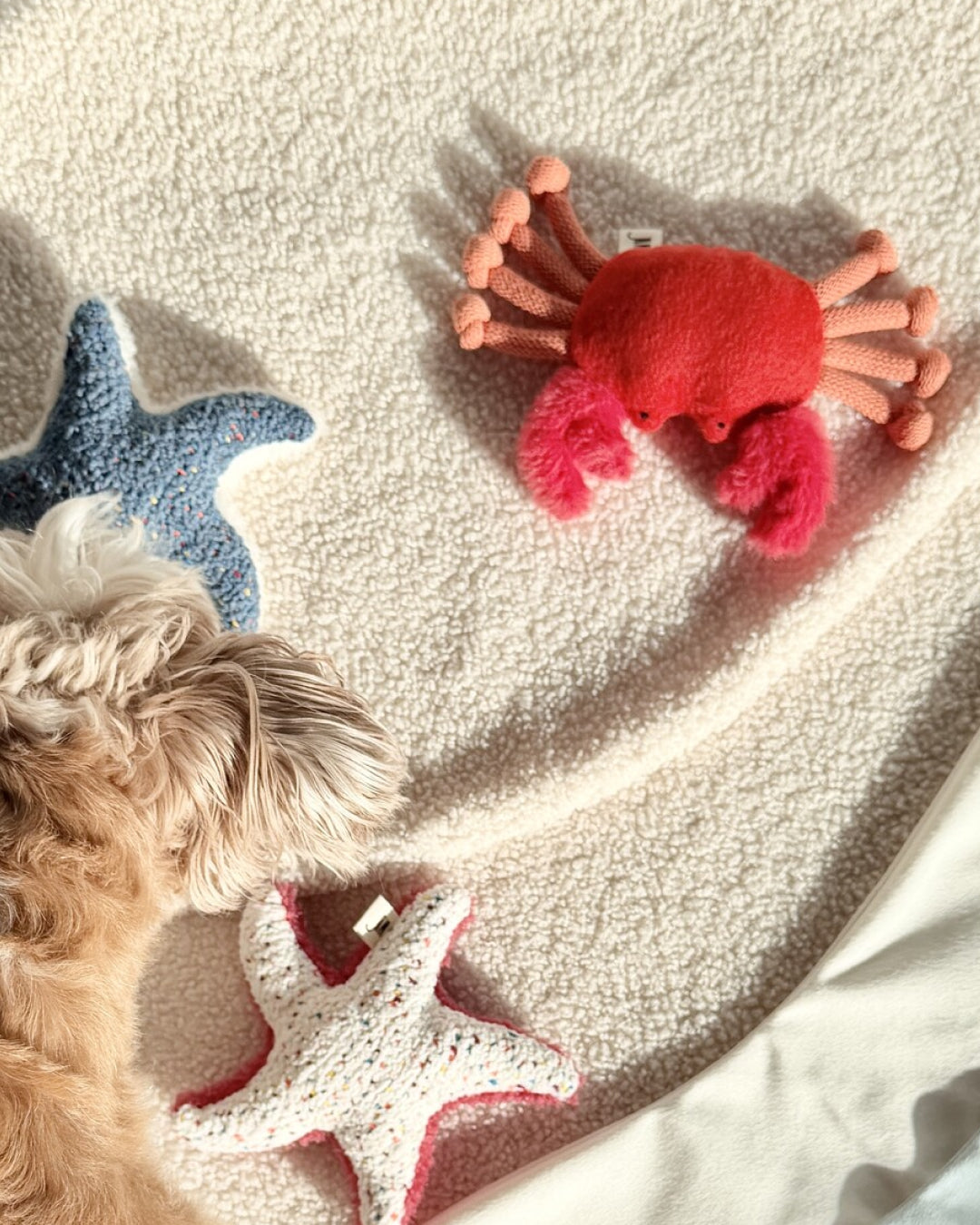 Crab Squeaky Dog Toy
