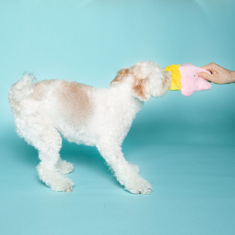 A small dog tugging to play with Crinkle Squeaker Nosework Toy Jumping Rabbit.