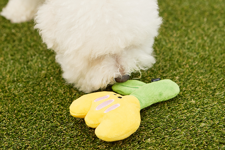 A dog sniffing the Crinkle Squeaker Toy Buttercup.