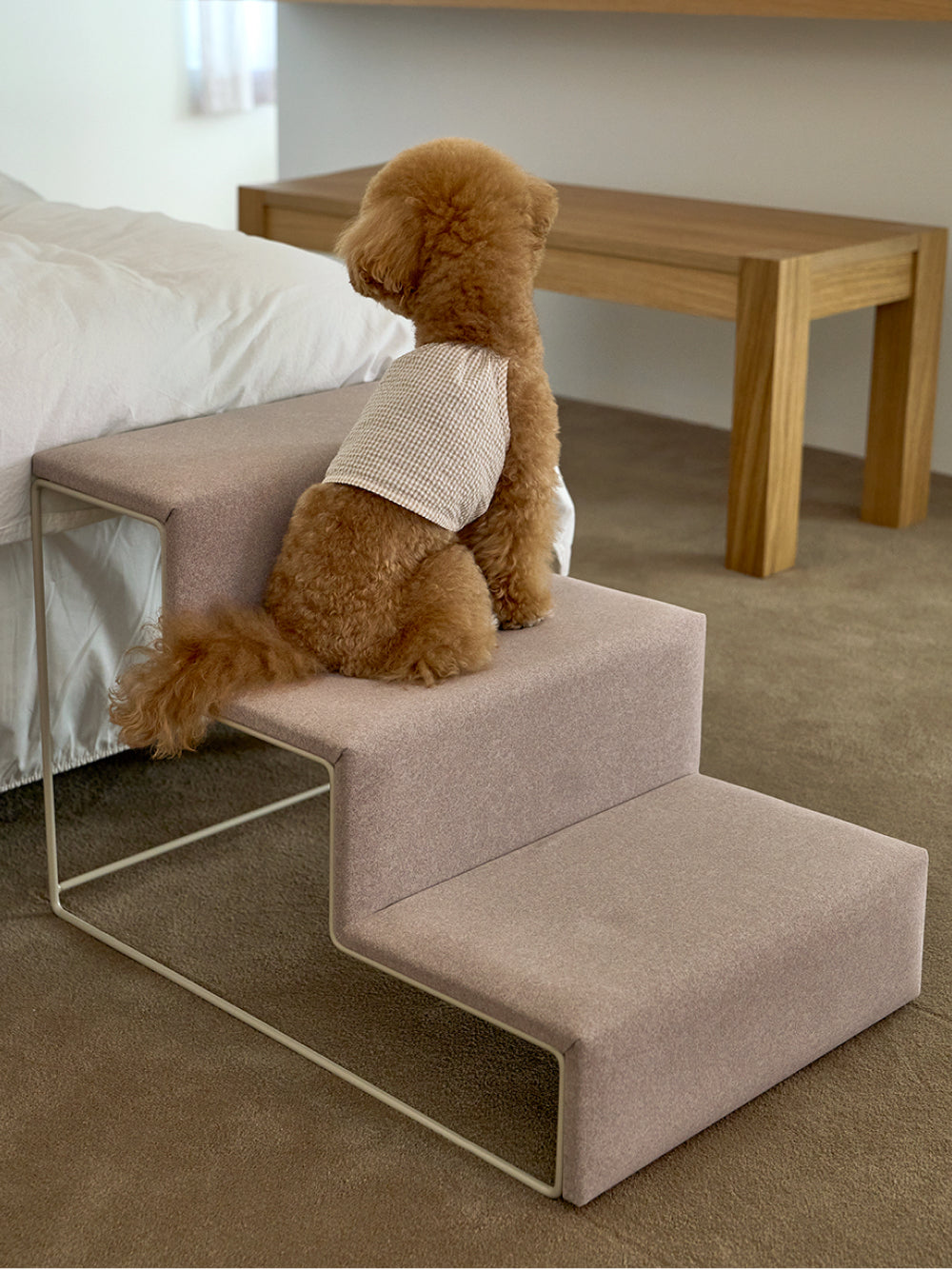 A small dog standing on the Dig Step, showcasing the cushioned steps and sturdy frame.