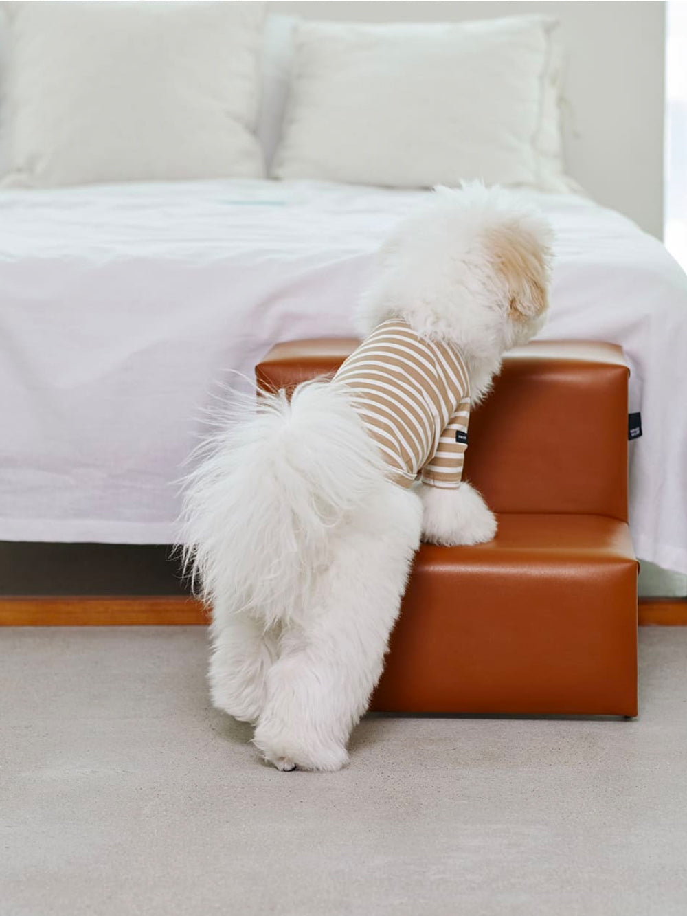 A small dog standing on the Dig Step, showcasing the cushioned steps and sturdy frame.